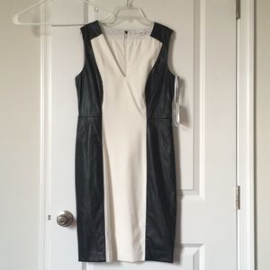 NWT Calvin Klein Cocktail Dress, Ivory and Black, 8